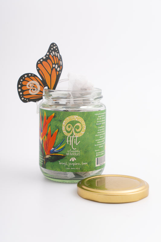 Infusión de Toronjil, Jengibre y Limón