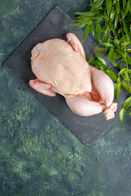 Gallina criolla campesina